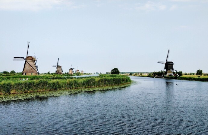 Molenplatform Zuid-Holland