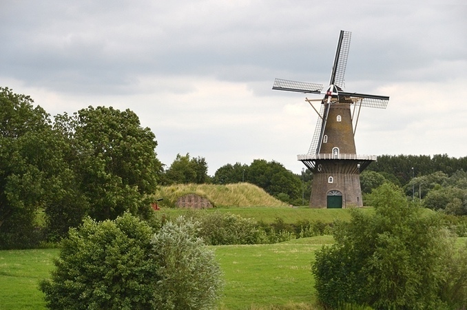 Doel en Organisatie